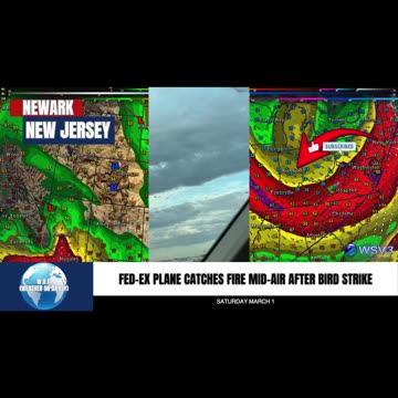 🛬 FedEx Cargo Plane Bird Strike Emergency Landing! 3/1/25 #shorts #aviationnews #breakingnews