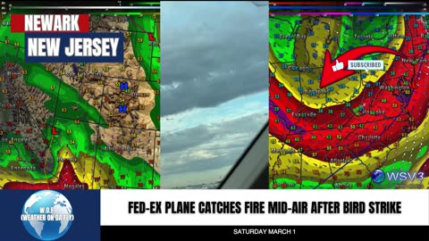 🛬 FedEx Cargo Plane Bird Strike Emergency Landing! 3/1/25 #shorts #aviationnews #breakingnews