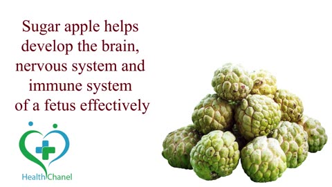 Did you know about these facts of sugar apple? #sugarapple