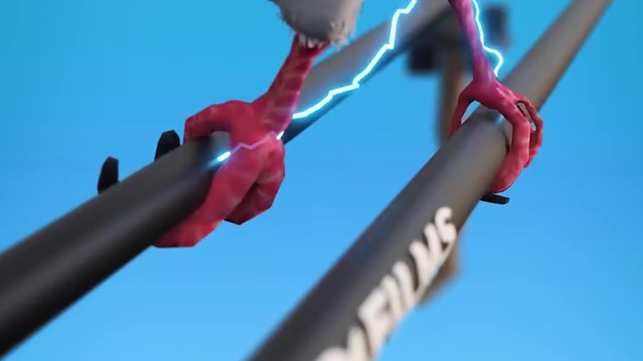How Birds Avoid Electrocution 😨