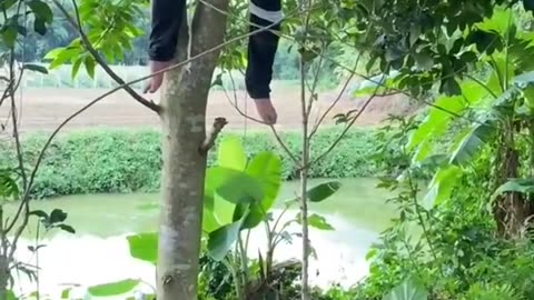 Best funny scenes 😁🤣