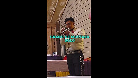 Grano De Mostaza Solo