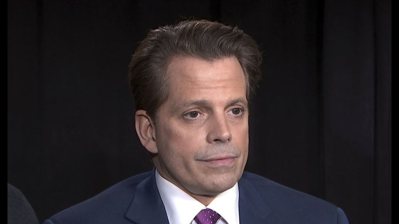 Anthony Scaramucci on CNN Makes Weird Mob