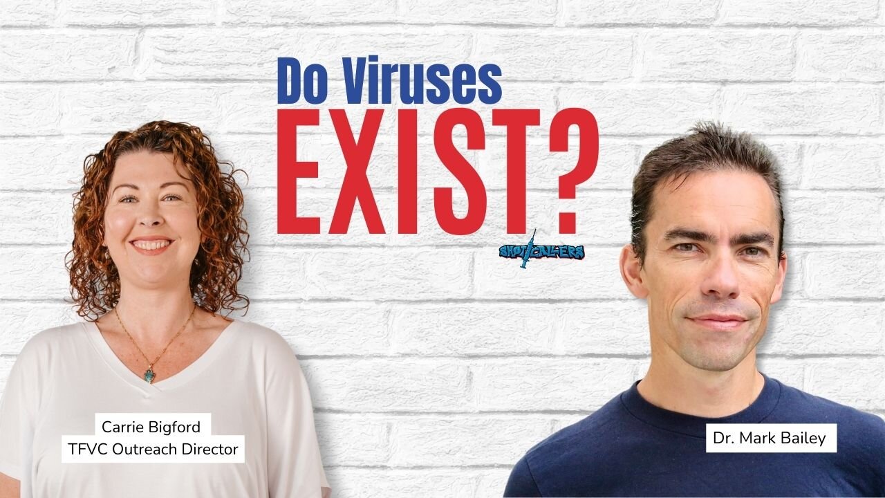 Do Viruses Exist?