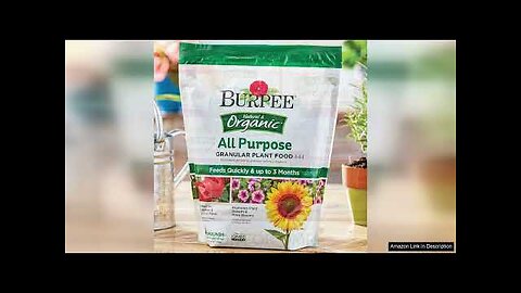 Burpee Natural Purpose Granular 4-Lb Organic Food for Growing Strong Plants | Review