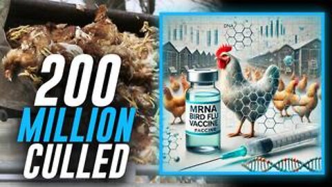 Over 200 Million Chickens Killed Under Biden's Watch While Big Pharma’s mRNA Bird Flu Shot Is Worse!