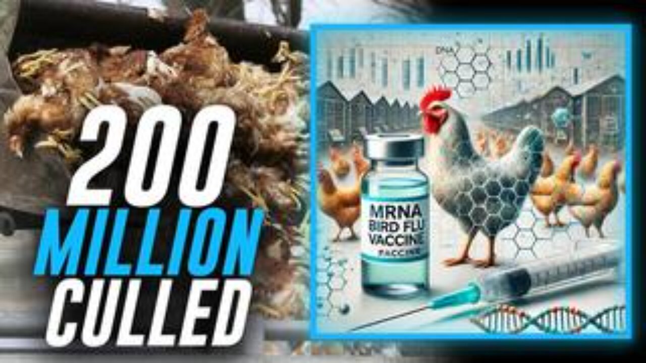 Over 200 Million Chickens Killed Under Biden's Watch While Big Pharma’s mRNA Bird Flu Shot Is Worse!