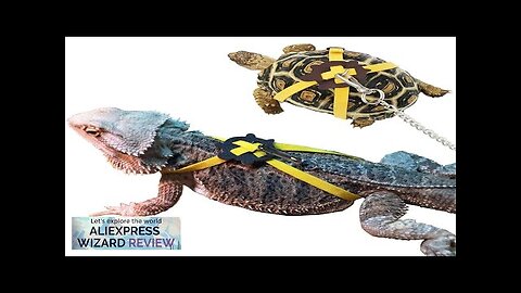 Dragon Lizard Leash Harness Turtle Leash Tortoise Harness Strap for Bearded Dragon Review