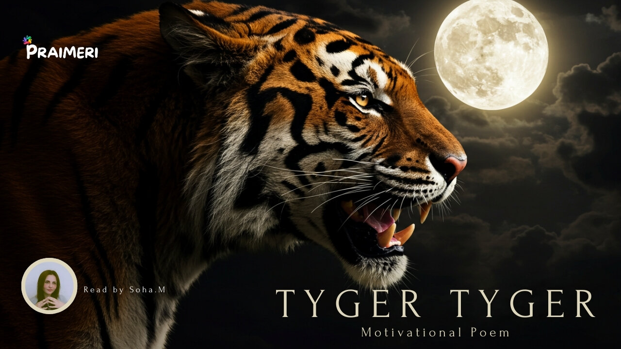 The Tyger by William Blake - Read by Soha.M