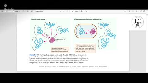 "The Chicken came first-- no wait, the EGG!?" - Biochemistry Ch 1