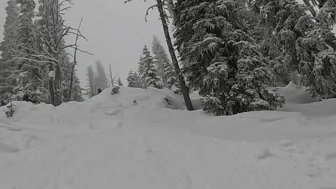 Great Powder Day w/ Great People!