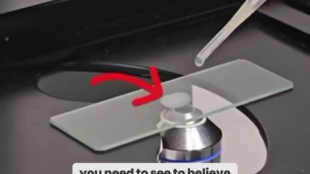 You Won’t Believe What Garlic Does to This Deadly Parasite!