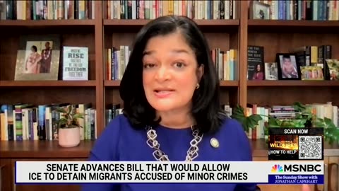 'There Is No Due Process': Dem Rep Frets About Fate Of Illegal Immigrants Under Laken Riley Act