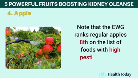 5 Powerful Fruits Boosting Kidney Cleanse and How to Enjoy Them