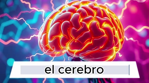 ¡Mejora tu memoria YA! 🧠💡 ¿Corto vs Largo Plazo?