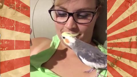 FUNNY AND CUTE PARROTS - TRY NOT TO LAUGH!! ❤️🦜