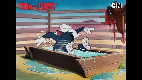 Tom and Jerry