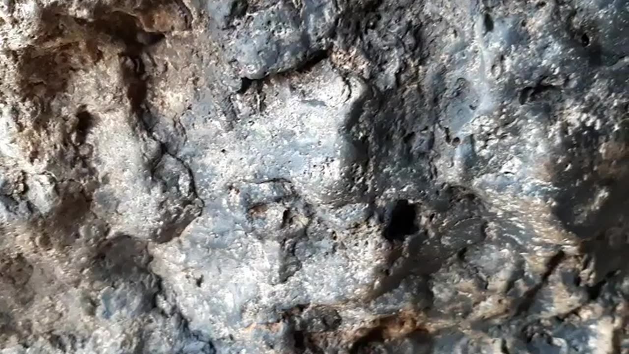 Close to up of mineralized Skull