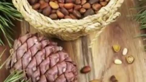 Benefits of Pine Nuts in Winter