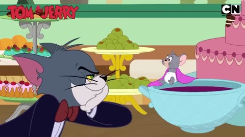 Funny Tom and Jerry _ Tom _ Jerry Are Unrecognizable in These Wild Transformations!