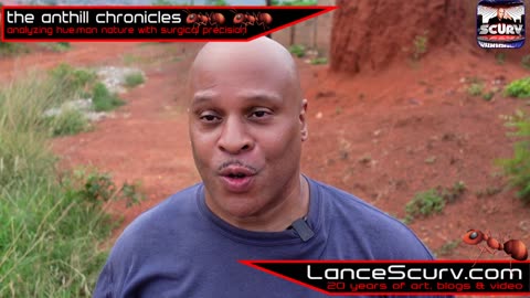 YOU CAN ACHIEVE ANYTHING YOU DESIRE IN THIS LIFE! | THE ANTHILL CHRONICLES