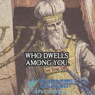 This is what the Bible Teaches about Torah for Every Believer