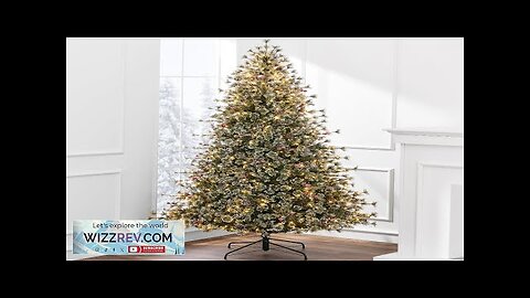 Best Choice Products 6ft Pre-Lit Cashmere Christmas Tree Premium Semi-Flocked Artificial Review