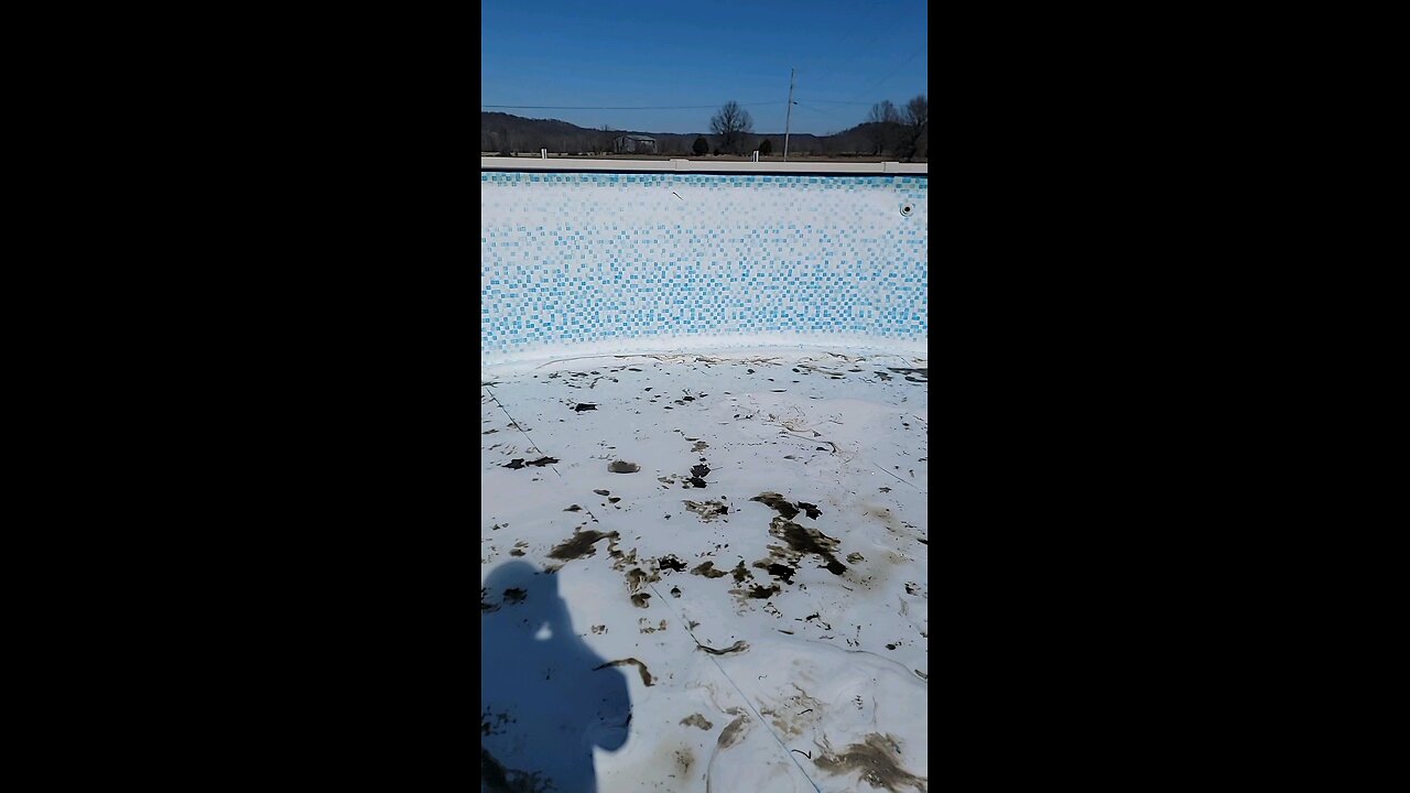 Pool owners do this Today!