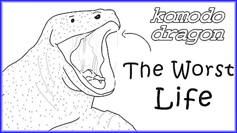 Why It Sucks to Be Born as a Komodo Dragon #komodo #dragon