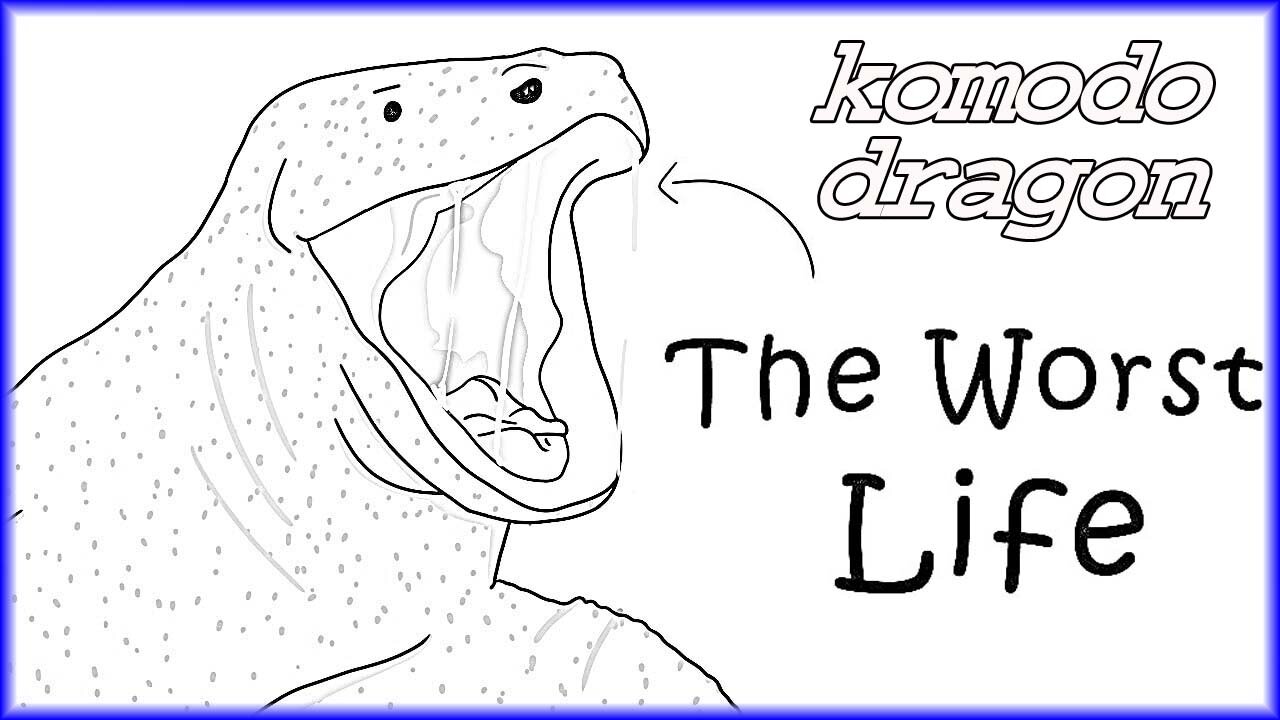 Why It Sucks to Be Born as a Komodo Dragon #komodo #dragon