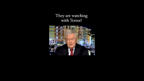 Newt Sums Up Dems Behavior Perfectly