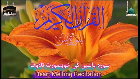 Surah Yasin (سورہ یاسین پرسکون آواز تلاوت) Relaxing Tilawat, Surah Yaseen Full Beautiful Recitation