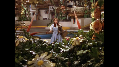 The Wizard of Oz