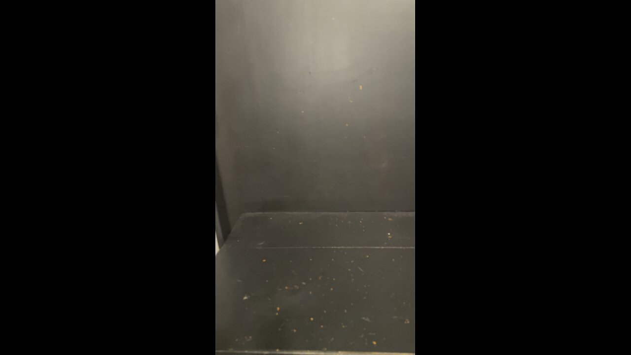 The doggy musical episode two