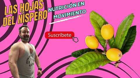 🌿 Descubre los BENEFICIOS OCULTOS de las HOJAS de NÍSPERO ¡Te sorprenderás!