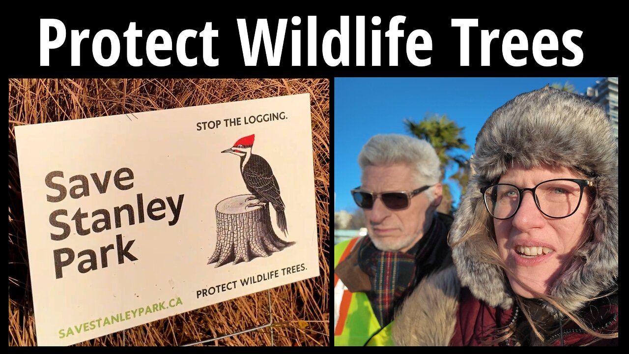 Protect Wildlife Trees