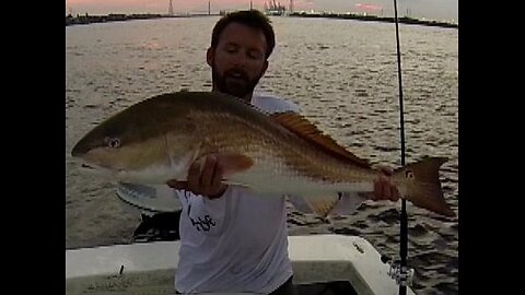 Bull Redfish - St. Johns River Florida