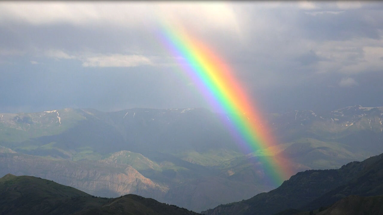 "Revelation Song" - The Real Representation of the Rainbow is King Jesus!🌈🦁🐏✝