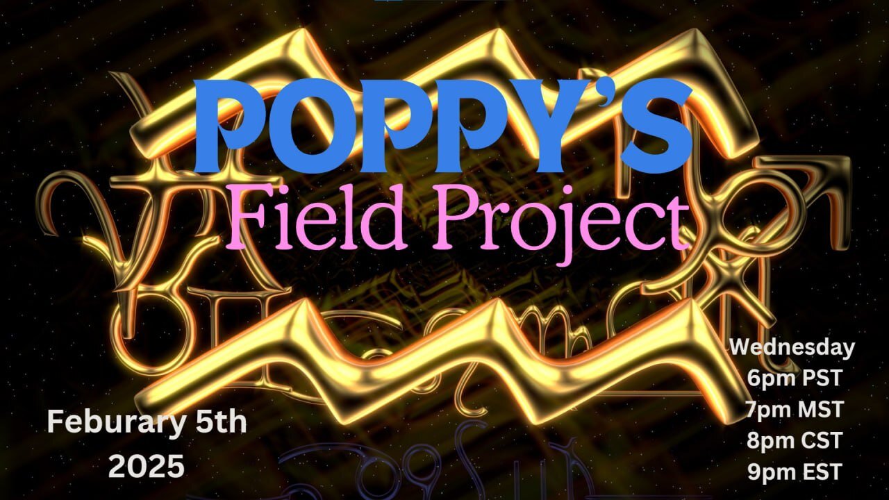 Poppy's Field Project 2/5/25