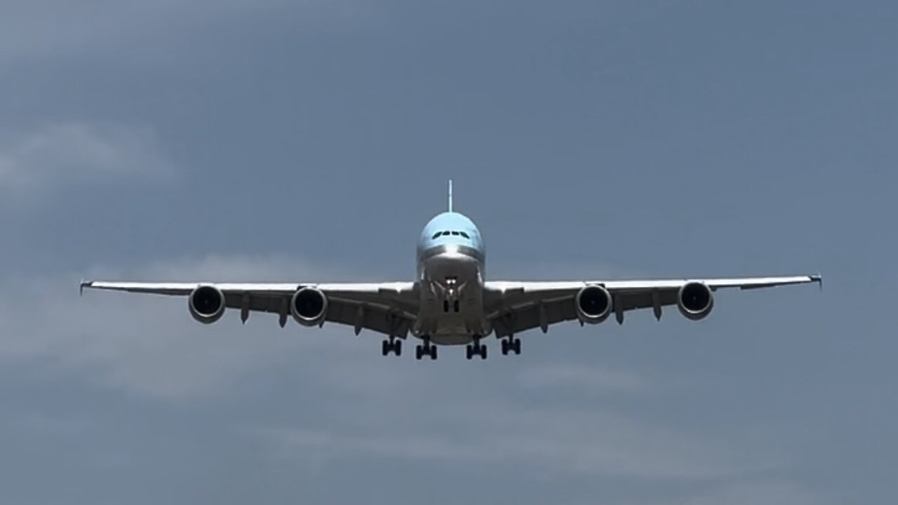 Plane Spotting at JFK airport in NYC, Landings. King of the Sky A380 and the Queen of the Sky B747