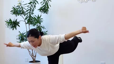 606.穩定性必練樁功