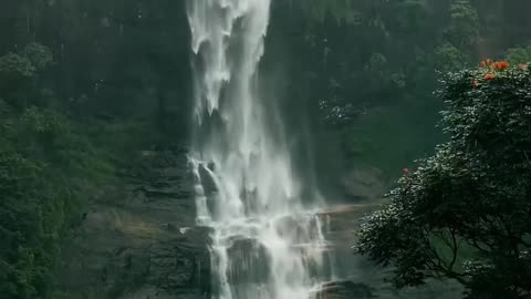 Beauti of nature
