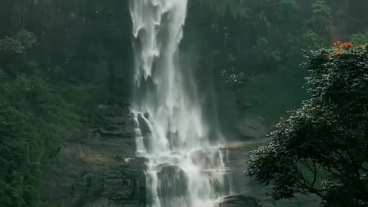 Beauti of nature