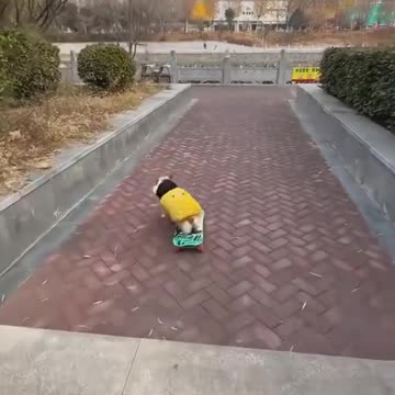 Granted, not every person can do this