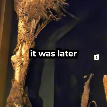 This Prehistoric Claw Looks Fresh... But It’s Over 3,000 Years Old