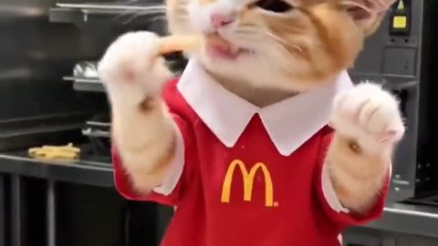 All of the billions spent on AI innovation just so we can get these beautiful cat videos