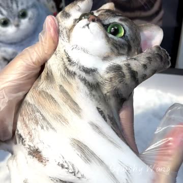 The leopard cat should be a sexy little demon in the cat world