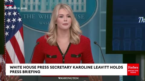 'Would Be Very Wise To Comply With This Administration': Leavitt Blasts Dem Opposition To ICE Raids