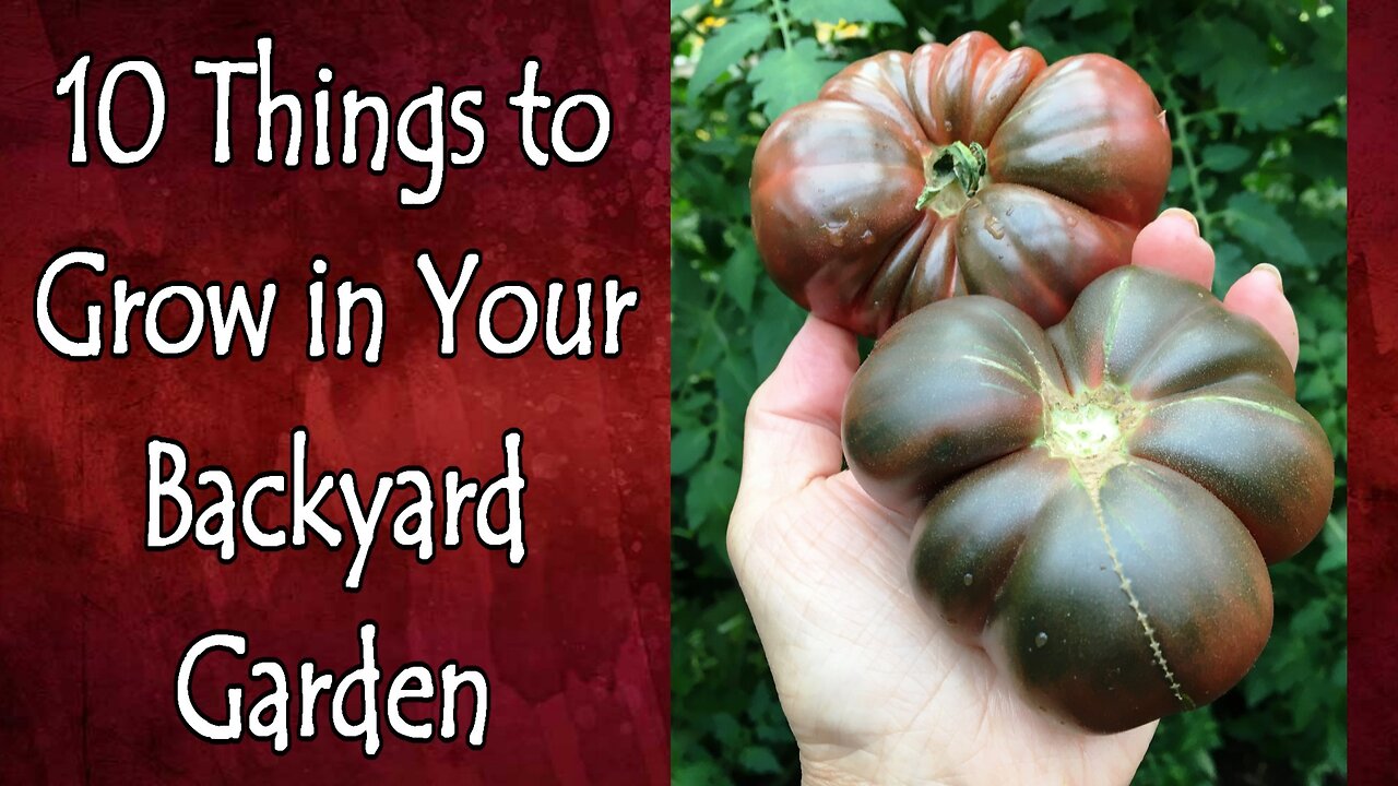 10 Foods to Start Growing in Your Backyard