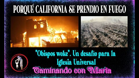 PORQUE CALIFORNIA SE PRENDIO EN FUEGO. OBISPOS WOKE SON UN DESAFIO PARA LA IGLESIA CATOLICA